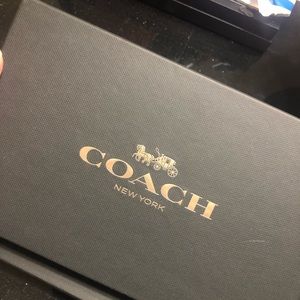 Glitter Gold Coach Travel Tag set